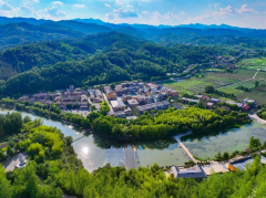 的绿色财产稳步推进：请来农业专家改良茶种