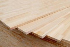 <b>川一；诗尼曼衣柜；绿丛林；我乐；尚</b>