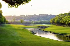 这里糊口着一群叱咤商